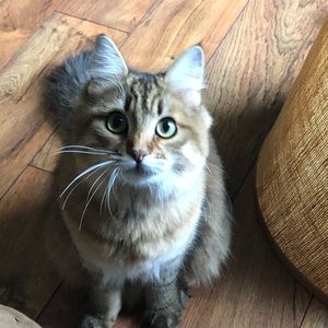 Meet your Posher, May